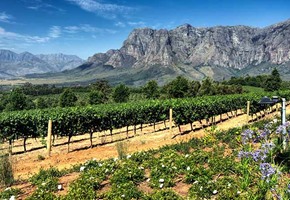 Pride of Africa, Rovos Rail