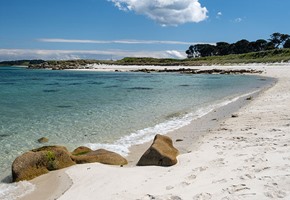 Tresco Abbey Gardens