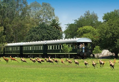 Pride of Africa, Rovos Rail