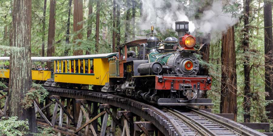 Embarking on a scenic rail excursion through the redwoods